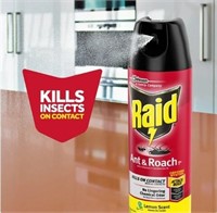 Raid Defend Indoor Roach & Ant Killer Bug Spray