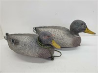 (2) Carry-Lite Mallard Drake Italian Duck Decoys