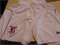 Hamilton Sparta White Soccer Shorts