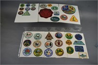 (31) Girl Scout Council Camp Patches
