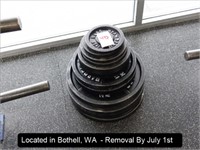 LOT, (12) STANDARD BARBELL PLATE WEIGHTS TO