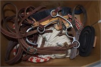 Lot of Horse Supplies