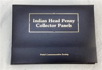 Indian Head Penny Collector Panels