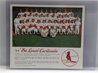 1968 St Louis Cardinals Team Picture