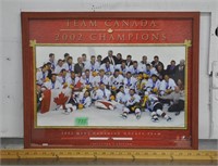 Framed 2002 Champions - about 21" x 17"