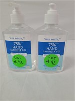 Hand sanitizer 300 ml qty 2
