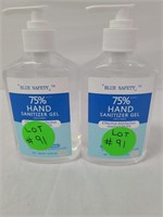 Hand sanitizer 300 ml qty 2