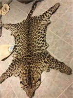 AUTHENTIC LEOPARD SKIN RUG