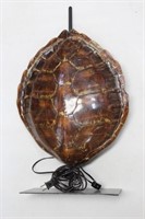 Turtle Shell Table Lamp