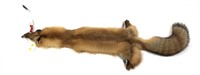 Fox Pelt, 48"