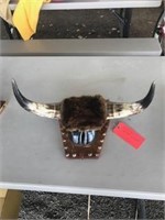 Buffalo Horn And Hoof