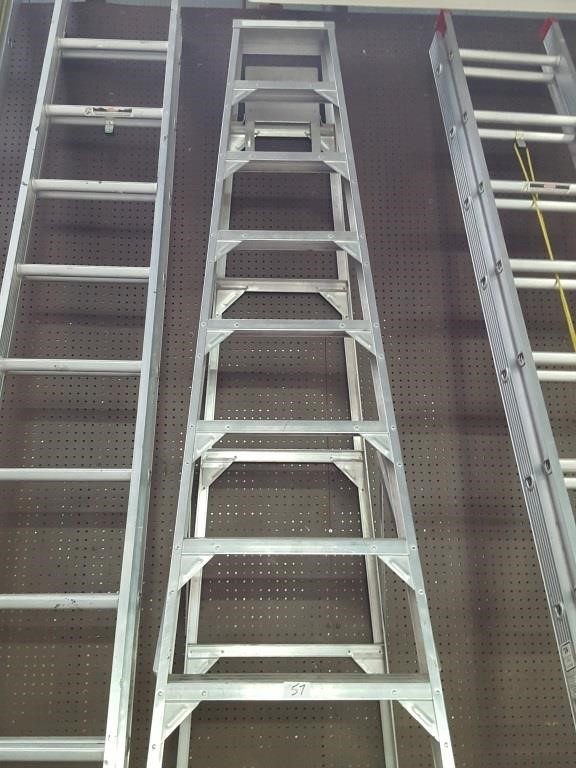 featherlite 11 step ladder