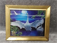 3D Swan Picture