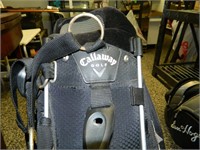 CALLAWAY BIG BERTHA STAND BAG