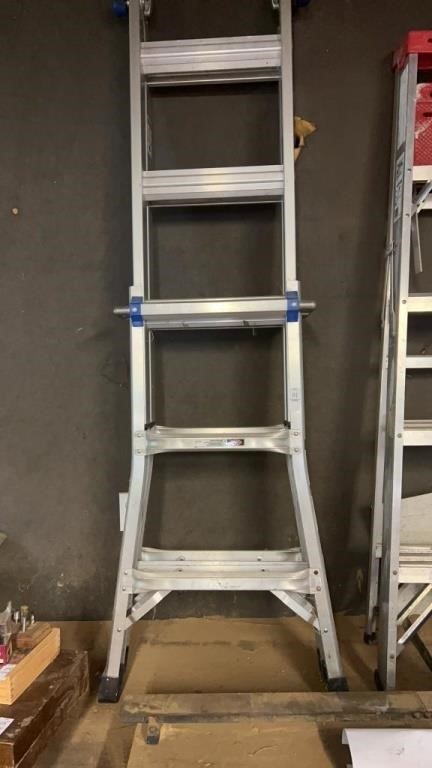 Werner 5 step ladder
