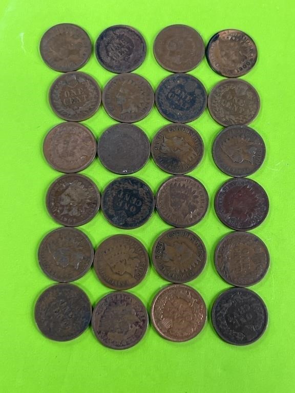 (24) Indianhead pennies
