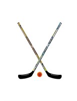 Franklin Sports NHL Kids Street Hockey Stick Set