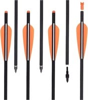 NEW $43 (12PK) Carbon bolts 22in Archery Arrows
