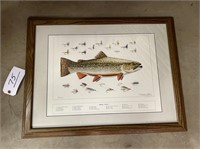 BROOK TROUT FRAMED PRINT