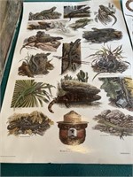 Vintage laminated posters snakes, lizards and