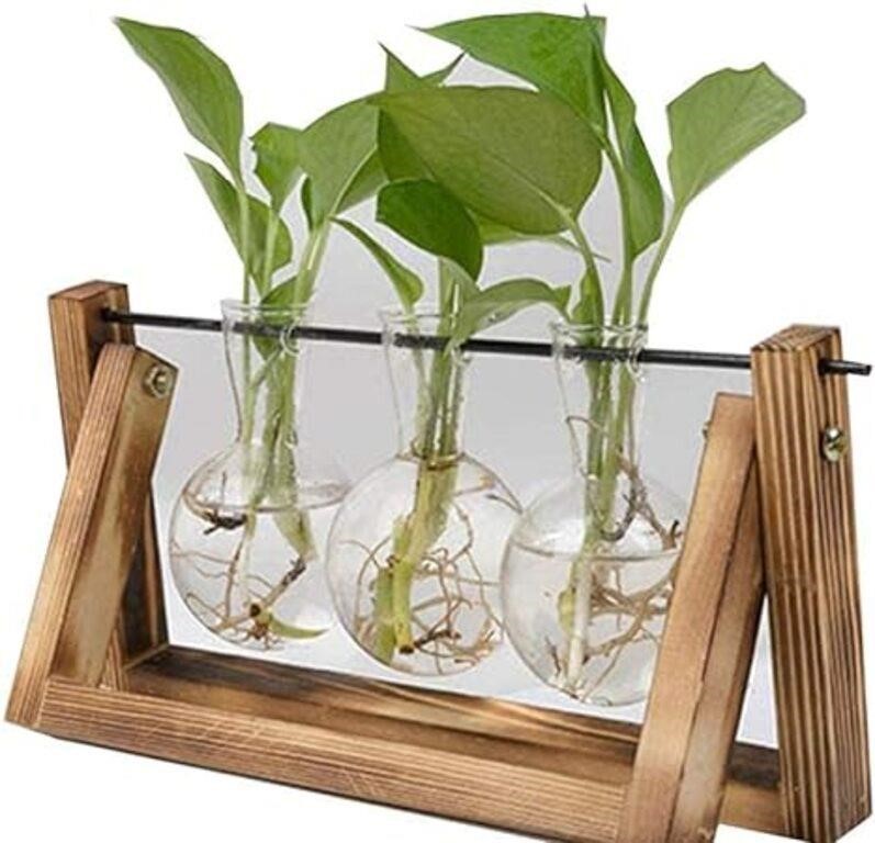 Bulb Vase, Desktop Plant Terrarium, Hydroponic