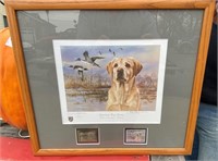 15" x 17" Framed Ducks Unlimited Print