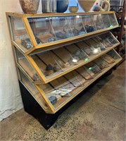 LARGE MUSEUM SECTIONAL SPECIMEN DISPLAY CABINET