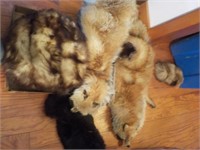 Fox Collars and fur pieces