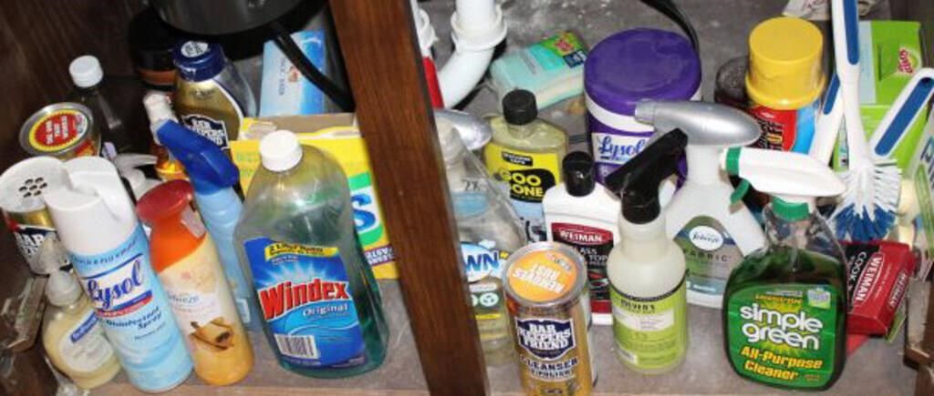 THE UNDER THE SINK CABINET CLEANING PRODUCTS