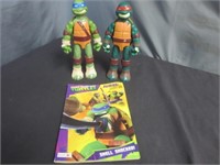Large Teenage Mutant Ninja Turtles & Book