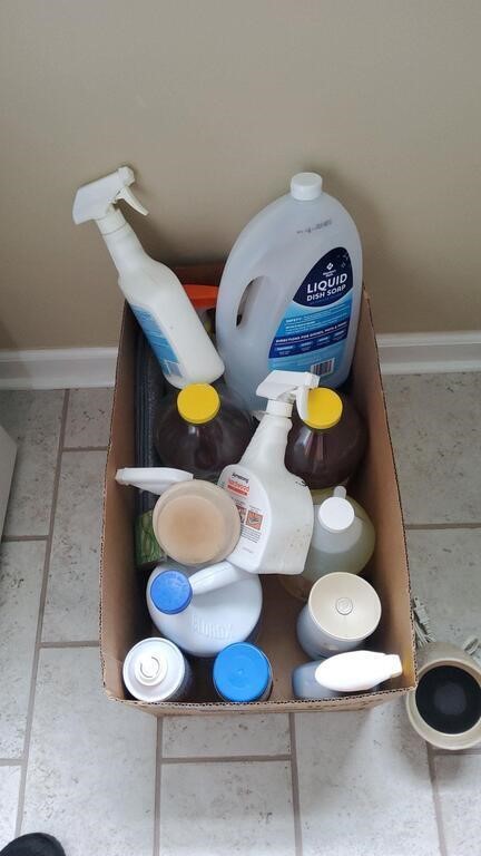 Box of Misc Cleaning Supplies