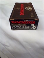 22-250 rem 55 gr 20 rds