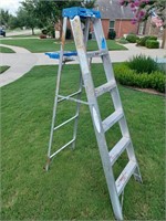 Werner 6 Foot Household Ladder