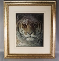 'Siberian Tiger' Print by Robert Batemen