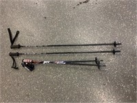 Police Auction: 4 Ski Polls