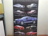 MUSTANG Evolution Picture@22inWx34inH