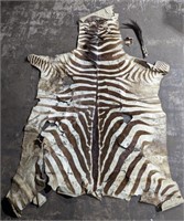 (N) zebra hide, deteriorating 67x43in