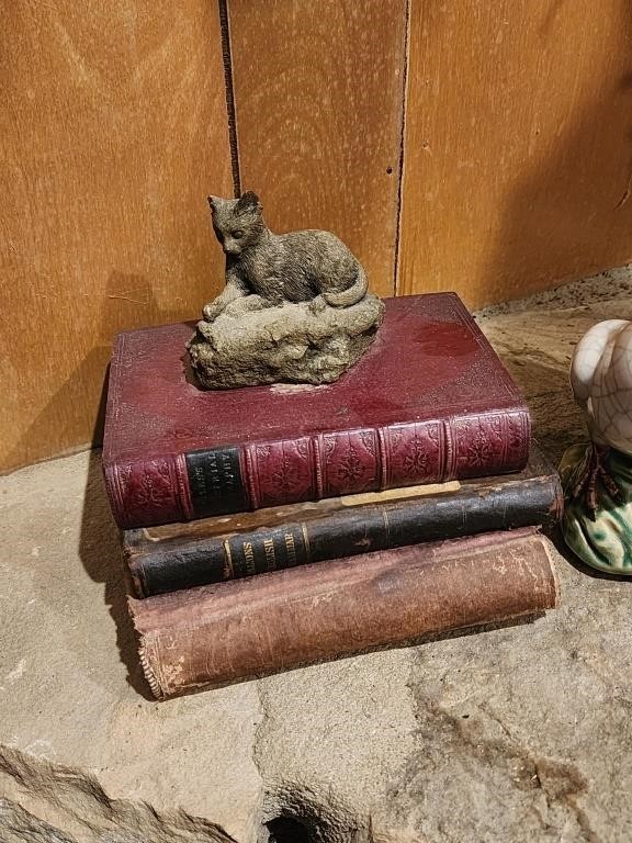 Cat on Old Books