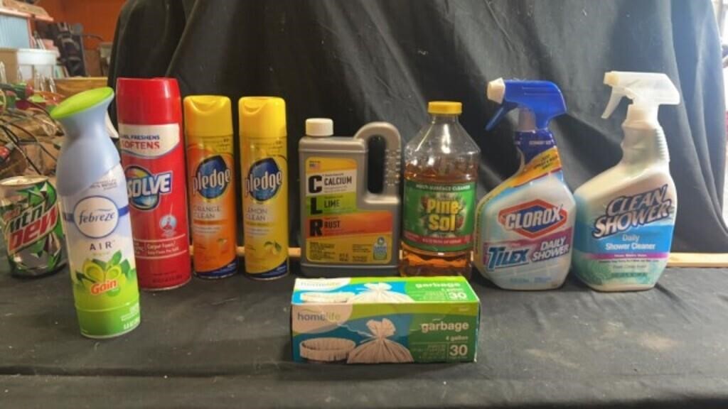 Household cleaning supplies, mostly full