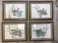 4 Duck Paintings