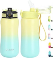 Insulated Kids Water Bottle with Straw