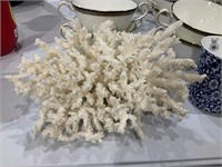 natural white coral