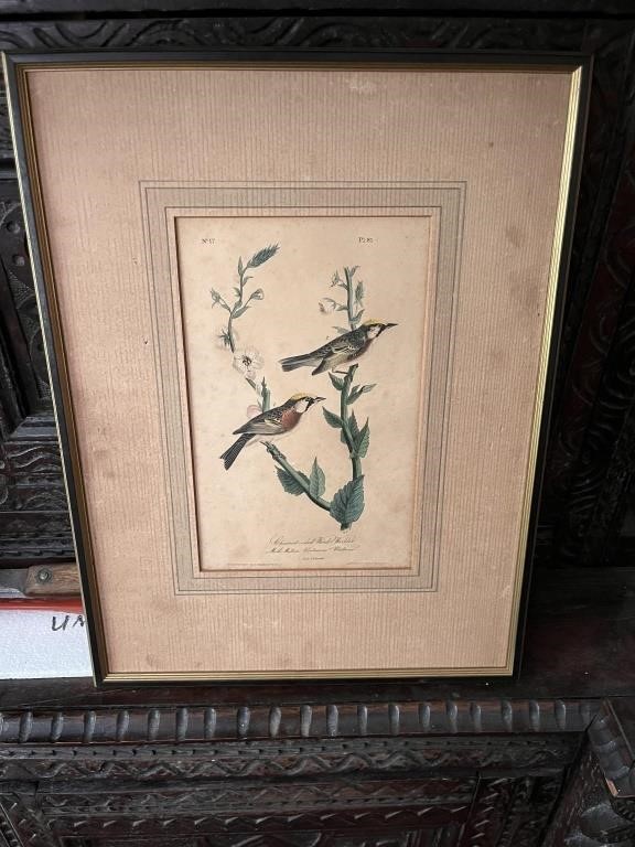 C. 1844 Audubon Octavo First Edition Lithograph