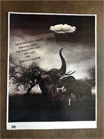 Elephant photo print n8.5X11" mounted as pictured