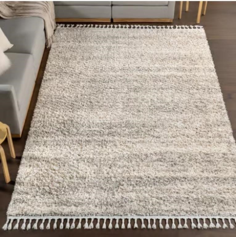 Ivory Shaded Shag With Tassels 12' x 16' Area Rug