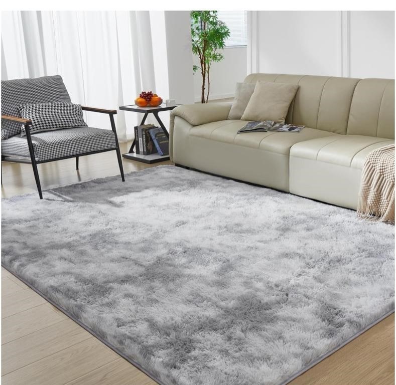 Super Soft Rugs for Living Room, 4X6 Fluffy Fuzzy