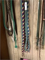 4 Lead Ropes