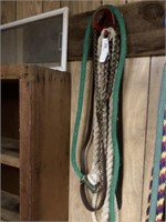 3 Lead Ropes With Chains