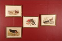 Four Framed Bird Plate Prints,