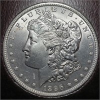 1896 Morgan Dollar - Pampered Pearl